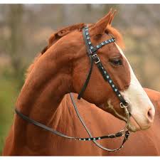 Horse headstalls
